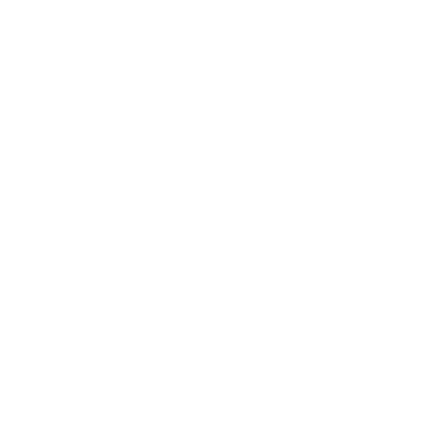 Video icon